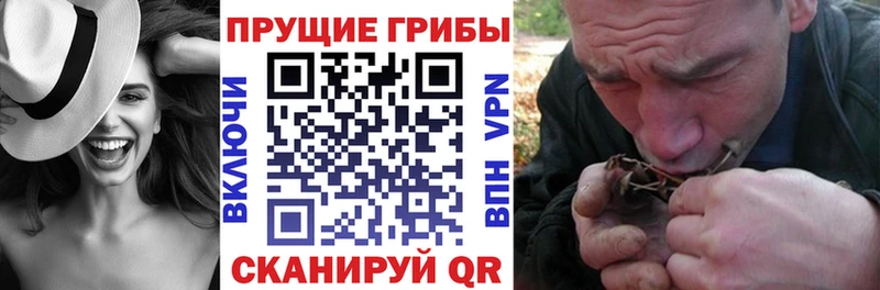 Галлюциногенные грибы Magic Shrooms  Волхов 